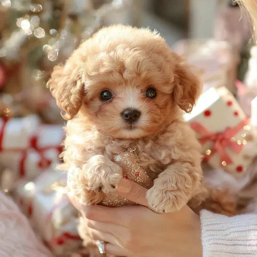 Original Realistic Puppy Toy 🐶 - Image 5