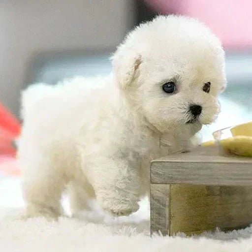 Original Realistic Puppy Toy 🐶 - Image 6