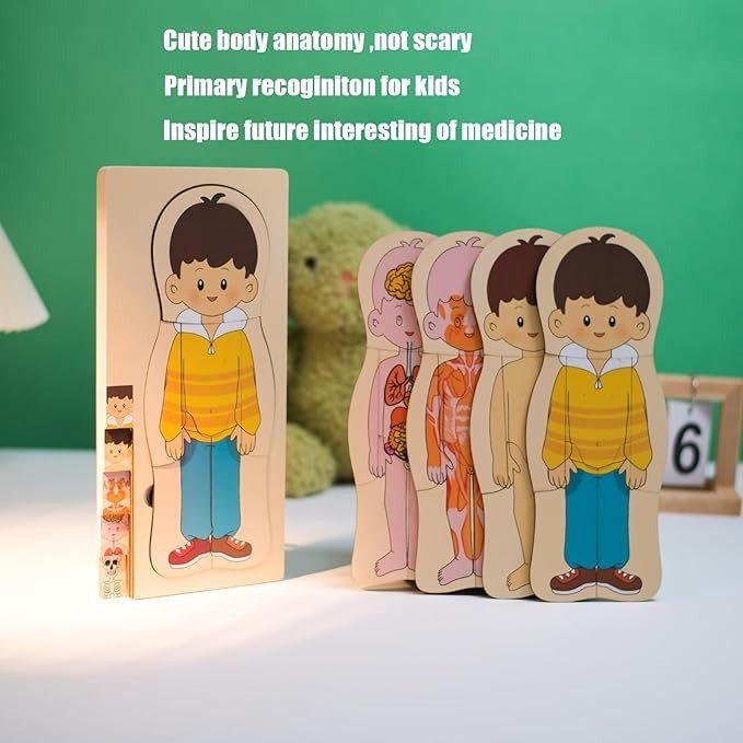 Multi-Layer Children’s Body Structure Puzzle Toys for Boys Girls Educational Kids Intelligence Toy Bright Colors and Cartoon Patterns - Image 8