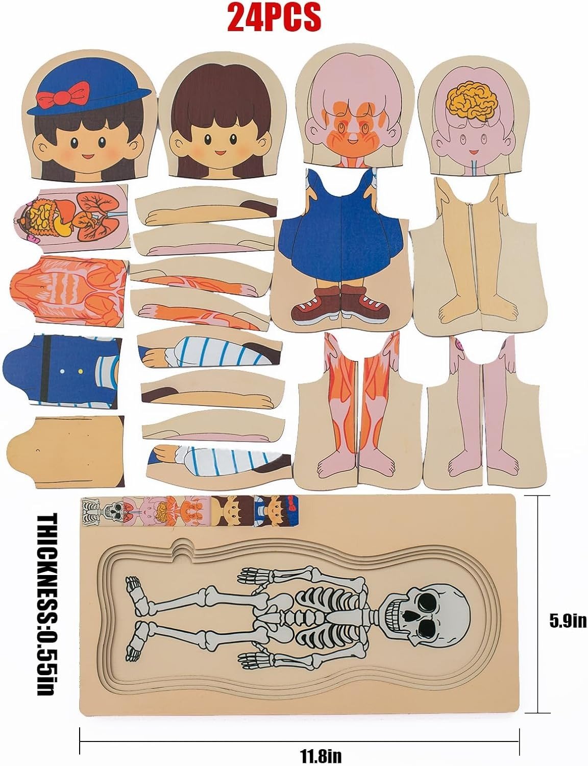 Multi-Layer Children’s Body Structure Puzzle Toys for Boys Girls Educational Kids Intelligence Toy Bright Colors and Cartoon Patterns - Image 5