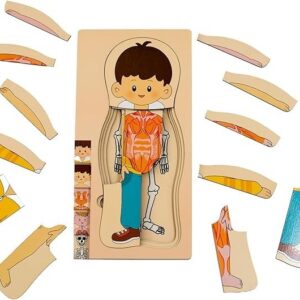 Multi-Layer Children’s Body Structure Puzzle Toys for Boys Girls Educational Kids Intelligence Toy Bright Colors and Cartoon Patterns