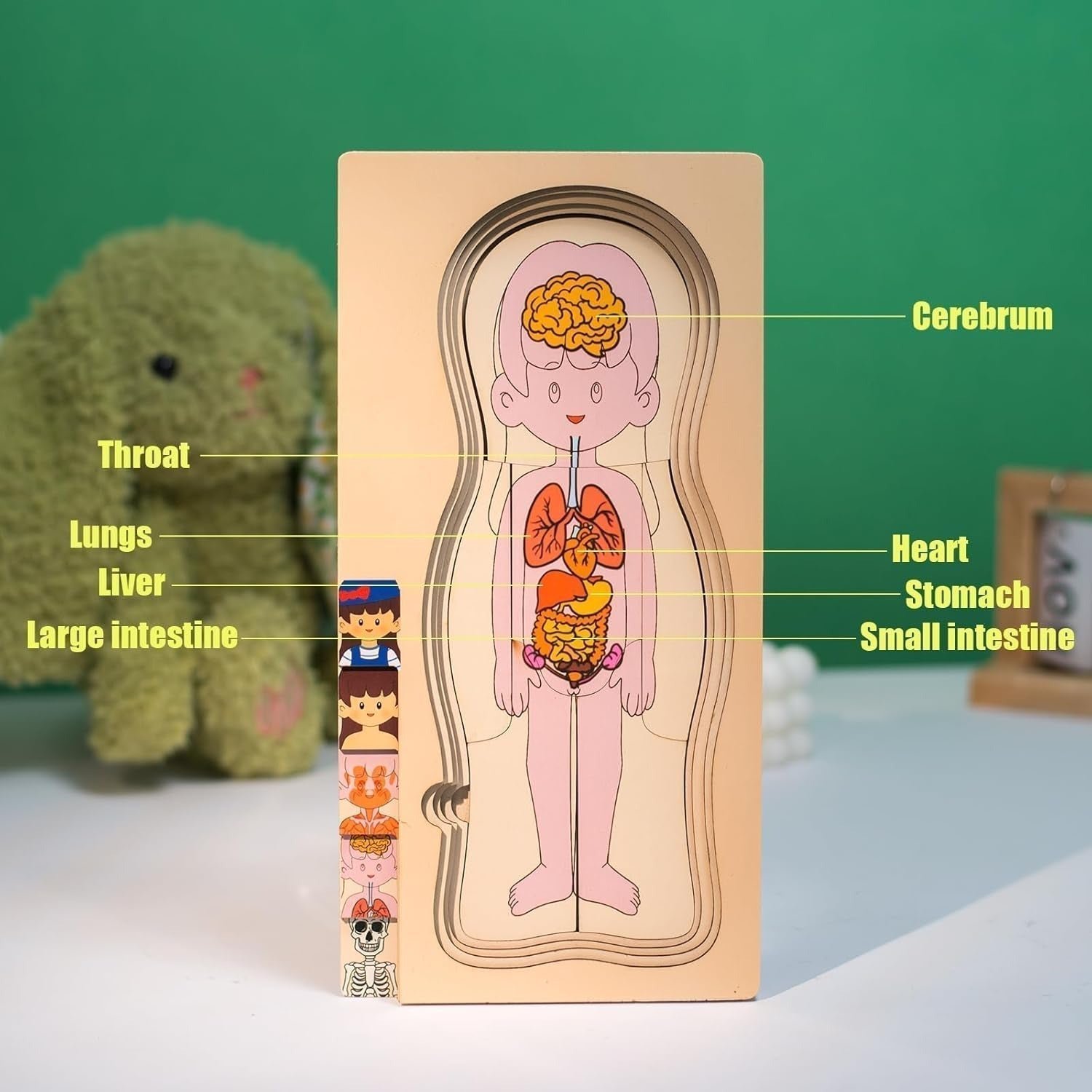 Multi-Layer Children’s Body Structure Puzzle Toys for Boys Girls Educational Kids Intelligence Toy Bright Colors and Cartoon Patterns - Image 4