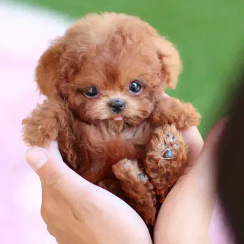 Original Realistic Puppy Toy 🐶 - Image 8